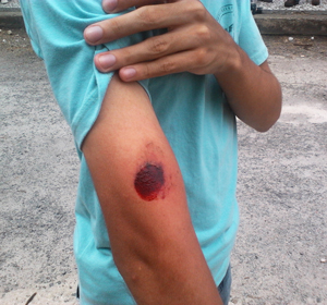 {54695E81-F364-4E05-8429-F45279557280}_pernambuco_repres